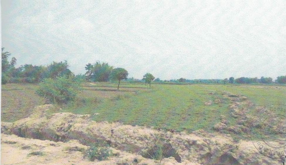 सिराहा जिल्ला नैनपुर गा.वि.स. वडा नं. ९, (हाल धनगढीमाई नगरपालिका वडा नं. ११) नक्सा सीट नं. ९ख स्थित कित्ता नं. १ को जग्गा क्षेत्रफल २–८–१४–० (विघा–कठ्ठा–धुर–कन्वा) (१६,४९१.७४ व. मी.) जग्गा 5